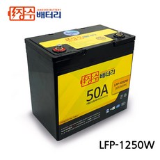 lfp배터리