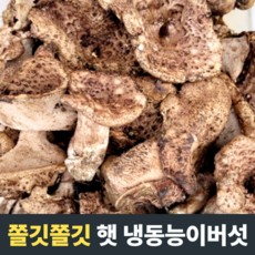 [쫄깃쫄깃] 냉동능이버섯 자연산냉동능이버섯 자연산능이버섯 건조능이버섯 능이버섯 능이백숙, 1kg (A급), 1개