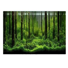 크레스티드게코포스터