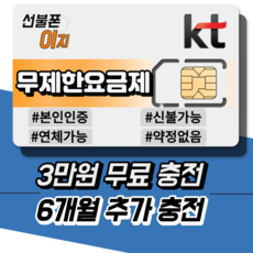 kt선불폰