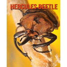 Hercules Beetle: Fun Facts & Cool Pictures Paperback, Independently Published, English, 9798564073325