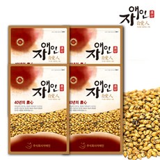 자애인 국산 보리차 500gX4개 (2kg) 볶은보리차 볶은보리 국산 100%, 단품, 4개, 500g, 1개입