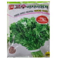 고수 씨앗 500g 대용량 아시아향채 코리앤더 샹챠이 자오무이 향신채 만추대 고수종자