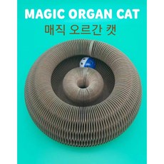 장난감오르간