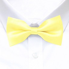 아동용나비넥타이