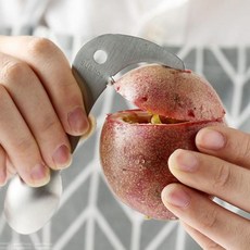정품스텐 과일커터 스푼키위 커터기 키위커터기 스텐키위커터기 키위과도 과일커터기;ah;+nas*, [-옵션:상품선택-]