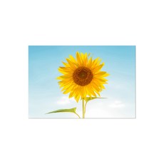 188680a22b7bf39e0012012d400f2bfc1b0139ed8146f9154e14bb390b06.jpg