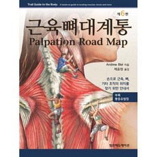 몬테소리소근육