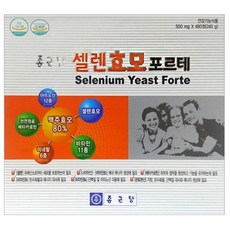 포르테끌림310