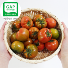  GAP 대저농협인증 정품 산지직송 초고당도 프리미엄 로얄과 짭짤이 토마토 1박스 m사이즈2.5kg  상품 이미지