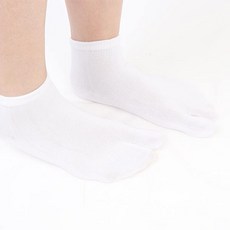 타비양말단목