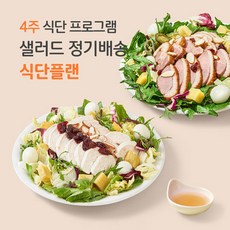 [포켓샐러드] 샐러드 4주 정기배송 주5일 프로그램 (식단플랜+총20팩), 245g, 20팩