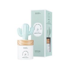 선인장디퓨저