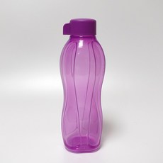 타파웨어 물병 물통 750ML 1P, 보라