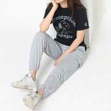 도테노픽고래도형