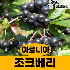 4e113e9cc328d7893433b0319c50c743aed6ba820ac0a9b2646a5db96814.jpg