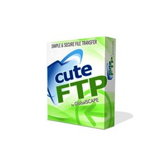 CuteFTP 9 with 1 year Maintenance & Support (Windows) (유지보수 포함)