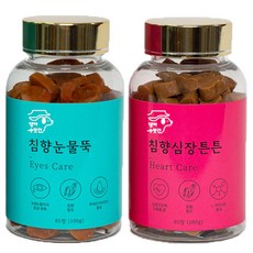 애견심장사상충약