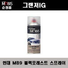 현대포레스트