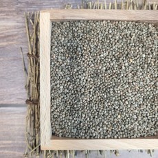 농랑부랑 2024년 첫수확 충남 서산 햇들깨 생들깨 600g 4kg 들깨한말, 들깨 600g X 1봉, 1개