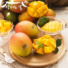 국산애플망고