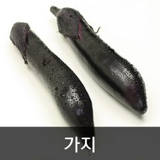 가지5kg(보통)