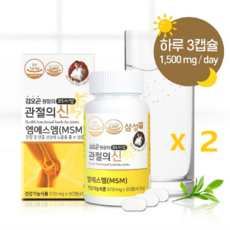 김오곤관절의신