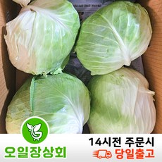 < 오일장상회> 국내산 양배추 6kg이상 3수, 6kg, 1개