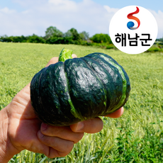 [해남] 땅끝 공중재배 황토 미니밤호박 4kg