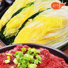 김치양념 3.5kg (절임배추 10kg 가능) 김장 김칫속, 12/06출고(12/07도착)