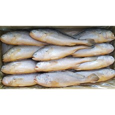 냉동 부세 조기 3.4kg 생선구이 업소용 도매, 1박스, 12미