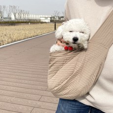 반려견 이동가방 인기 순위