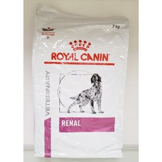 레날어드밴스드독