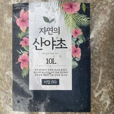 분갈이흙산야초 TOP01