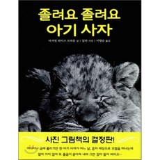 댄싱사이더신애유자