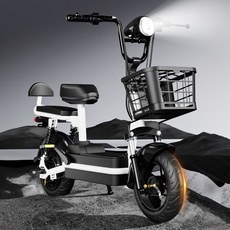 힘좋은 전기자전거 배달용 전기 자전거 전동 스쿠터 2인승 전지 오토바이, 12A 65KM, 그린