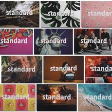 더스트코일매트