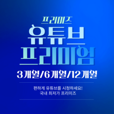 유튜브 프리미엄+유튜브 뮤직/월2 500원/3개월/6개월/8개월/12개월, 12개월, 0