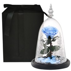 미녀와야수유리볼