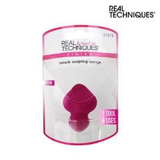 리얼테크닉스펀지