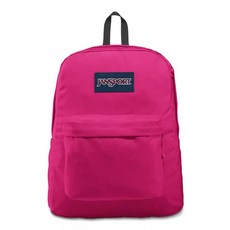 잔스포츠 JanSport Superbreak Plus 백팩 로덴 프로스트 백팩 237233