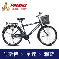 피닉스자전거