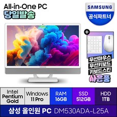 삼성전자 올인원 일체형 PC 프로스트 화이트 DM530ADA-L25A (펜티엄골드 7505 60.5cm WIN11 Pro) 기업용 사무용 학습용, RAM 16GB + SSD 512GB + HDD 1TB