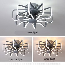 루씨에어노르딕