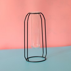 유리시험관