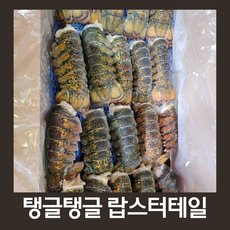 [힘찬열매] 캐나다 직수입 랍스터테일 4oz 3마리, 1개, 랍스터테일 9미