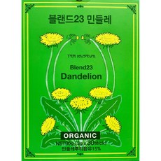 티뮤지움
