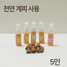 모기잡기교구