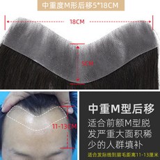 남자붙이는가발