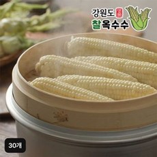 강원도 명물 횡성찰옥수수 30개